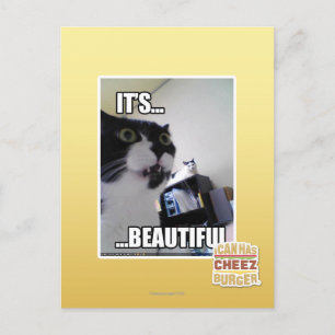 It's Beautiful Postcard