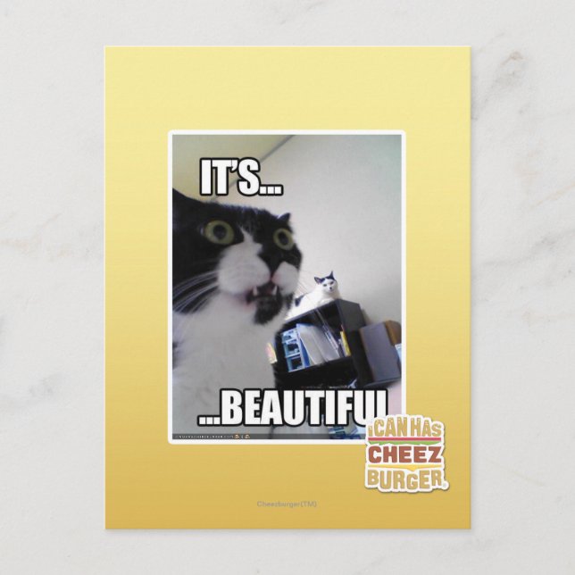 It's Beautiful Postcard (Front)