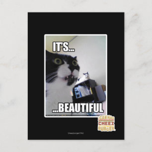 It's Beautiful Postcard