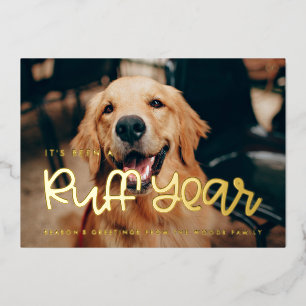 It's been a Ruff Year Dog photo