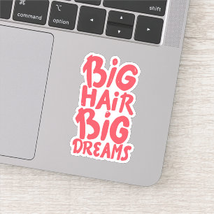 It's Big Hair Big Dreams
