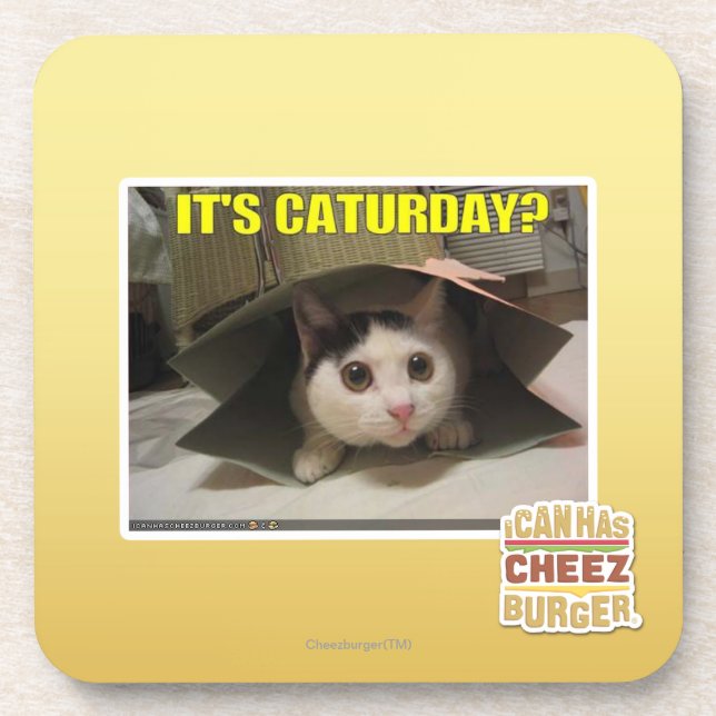 It's Caturday? Coaster (Front)