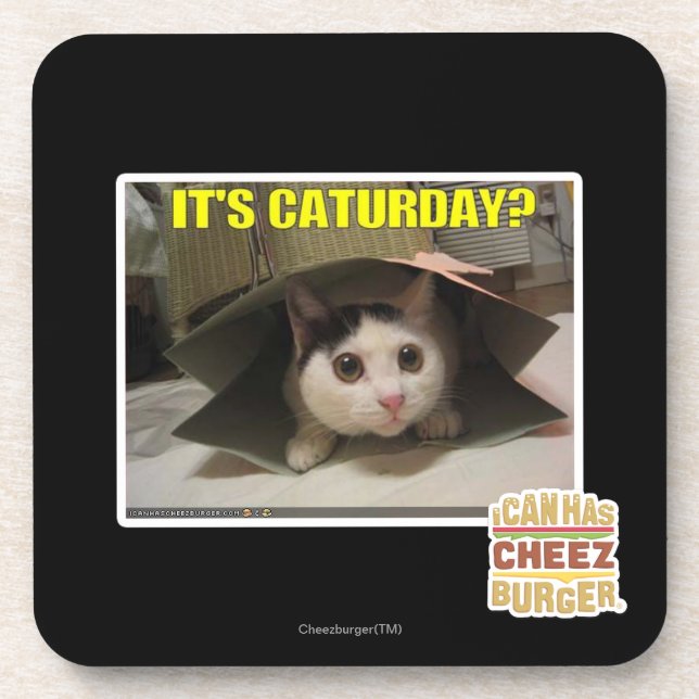 It's Caturday? Coaster (Front)