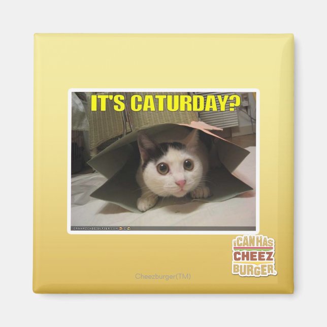 It's Caturday? Magnet (Front)