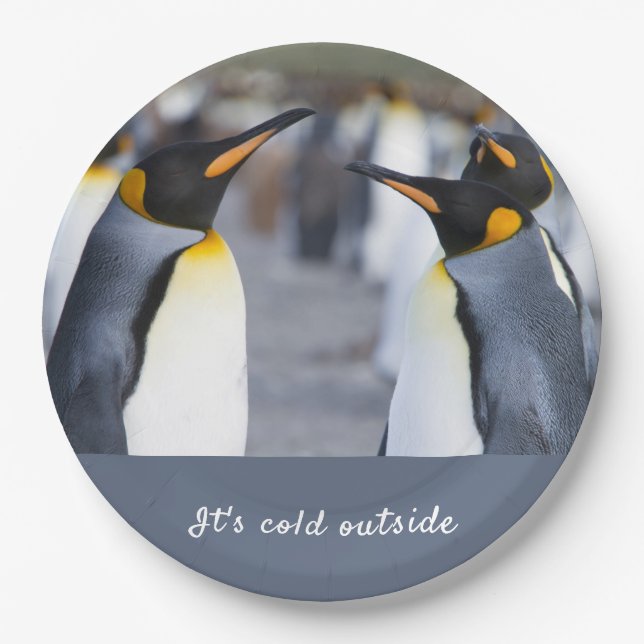 It's cold outside King Penguin photo with text Paper Plate (Front)