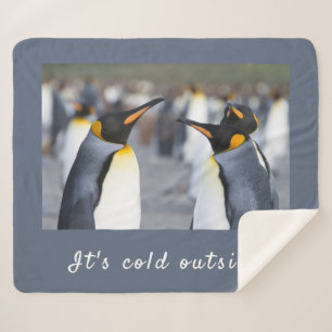 It's cold outside King Penguin photo with text Sherpa Blanket