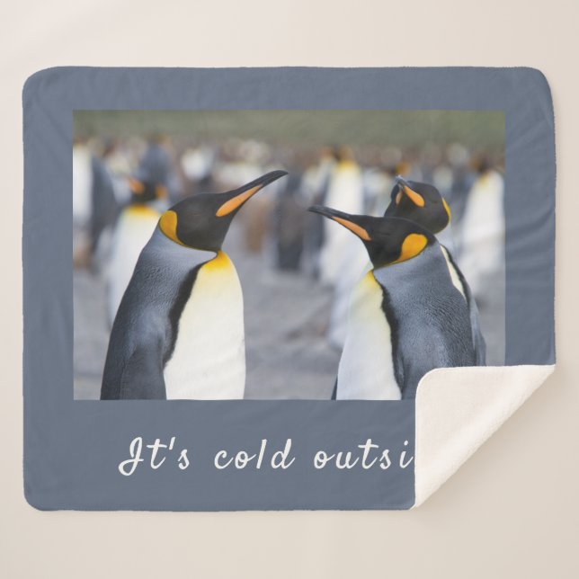 It's cold outside King Penguin photo with text Sherpa Blanket (Front (Horizontal))