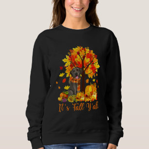 It's Fall Y'all Labrador Black Lab Halloween Thank Sweatshirt