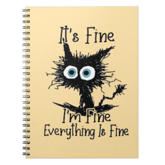 it's fine... notebook