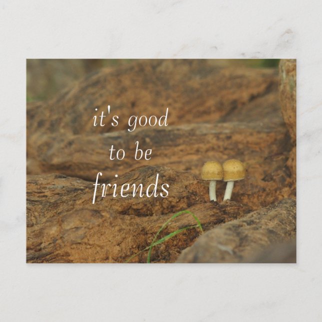 It's good to be friends postcard (Front)