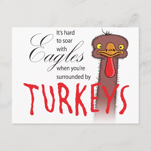 It's Hard To Soar With Eagles... Postcard (Front)