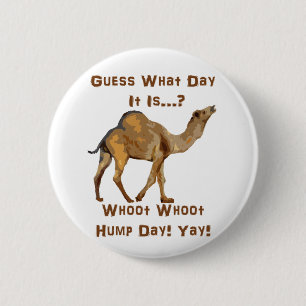 Its Hump Day 6 Cm Round Badge