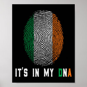 It's In My Dna Ireland Irish Flag Gifts Men Women Poster