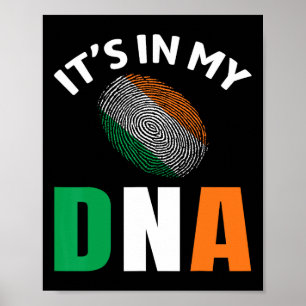 It's In My Dna Ireland Irish Flag Gifts Men Women Poster