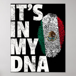 It's In My Dna Mexican Mexico Flag Cinco De Mayo S Poster