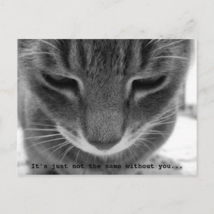 It's just not the same without you... postcard
