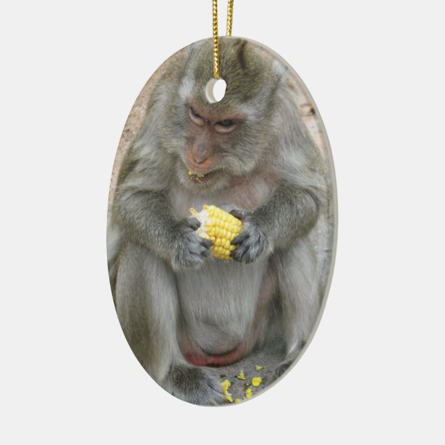 It's Mine!! ... Wild Thai Macaque Monkey Ceramic Tree Decoration (Left)