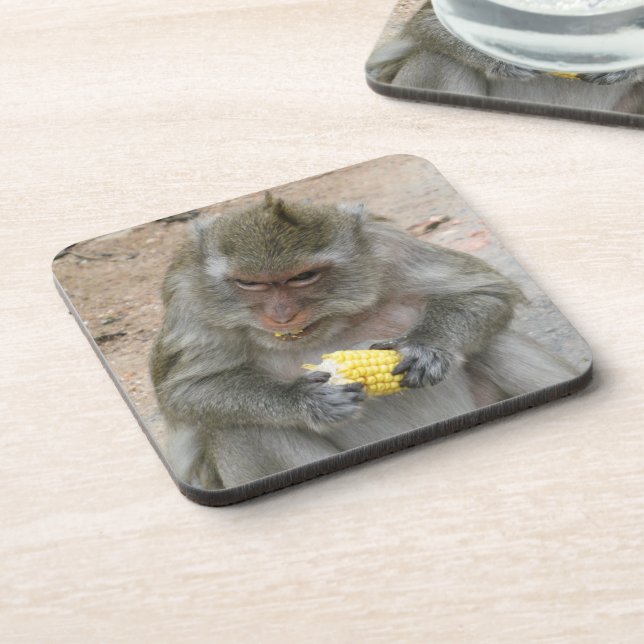 It's Mine!! ... Wild Thai Macaque Monkey Coaster (Left Side)