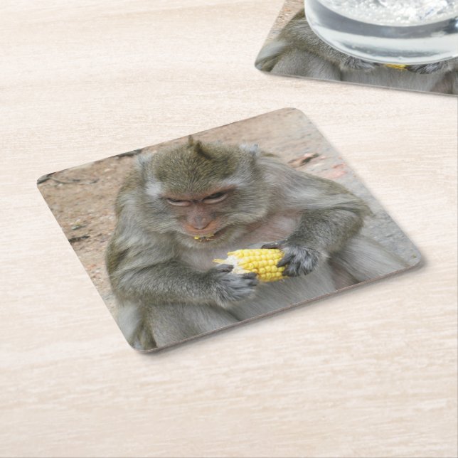 It's Mine!! ... Wild Thai Macaque Monkey Square Paper Coaster (Angled)