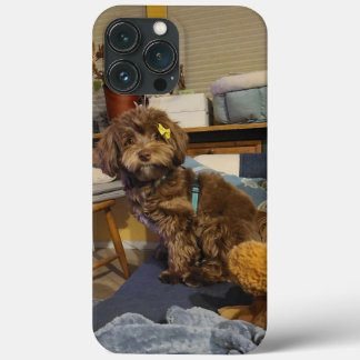 it's molly! iPhone 13 pro max case