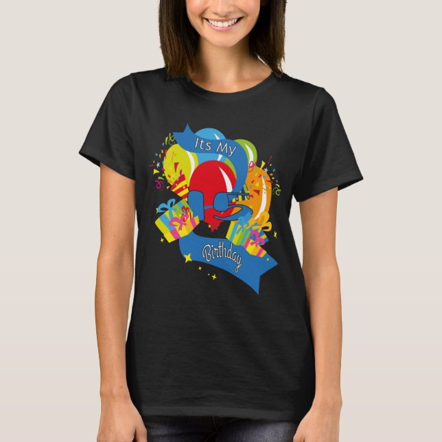 Its My 15 Birthday T-Shirt (Front)