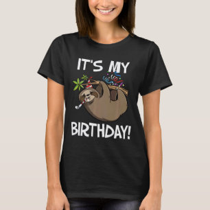 Its My Birthday Cute Sloth Party Outfit Premium T-Shirt