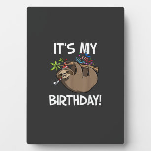It's My Birthday Cute Sloth Party Outfit T-Shirt Plaque