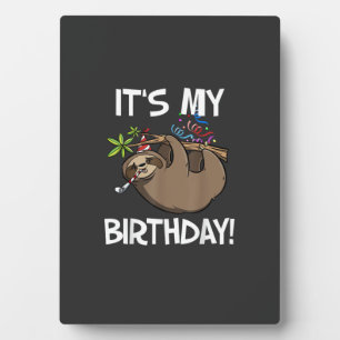 It's My Birthday Cute Sloth Party Outfit T-Shirt Plaque