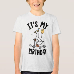 Its My Birthday Matching Funny Goose Family Women  Tri-Blend Shirt
