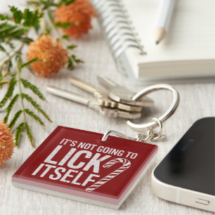 Its Not Going to Lick Itself Offensive Sarcastic Key Ring