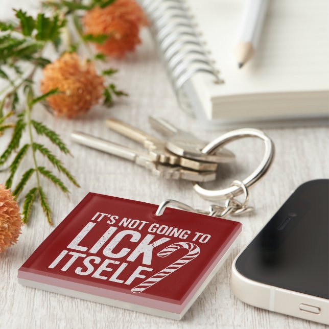 Its Not Going to Lick Itself Offensive Sarcastic  Key Ring (Front Right)