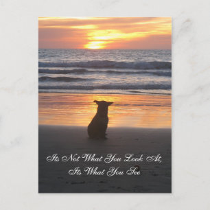 It's Not What You Look at. its What You See card