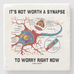 It's Not Worth A Synapse To Worry Right Now Humour Stone Coaster