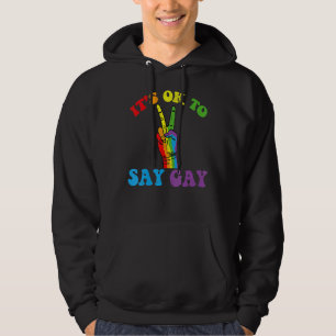 It's Ok To Say Gay  Florida It's Ok To Say Gay Lgb Hoodie