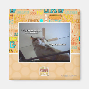 It's past my dinner time magnet
