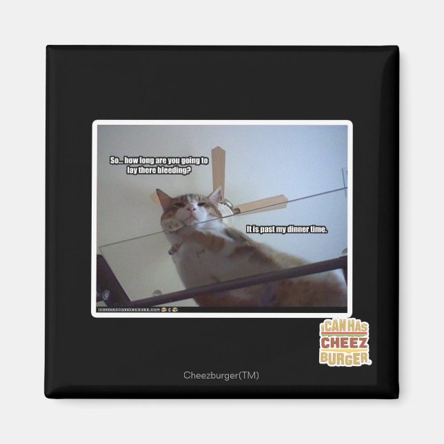 It's past my dinner time magnet (Front)