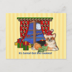 It's Santa! Get the Cookies! Corgi Christmas Card