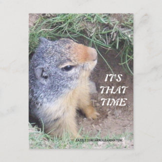 It's That Time Groundhog's day Invitation