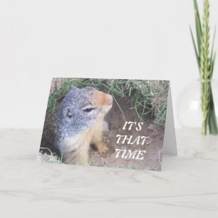 It's that Time Happy Groundhog's Day card