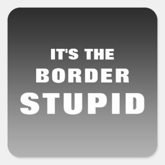 It's The Border Stupid Square Sticker