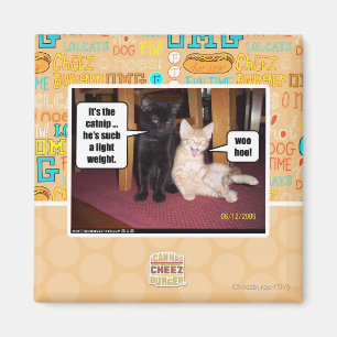 It's the catnip magnet