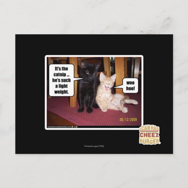 It's the catnip postcard (Front)