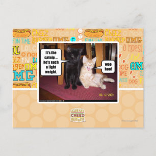It's the catnip postcard