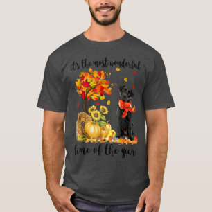 It's The Most Wonderful Autumn Time Labrador Pumpk T-Shirt