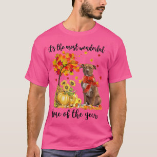 It's The Most Wonderful Autumn Time Pitbull Pumpki T-Shirt