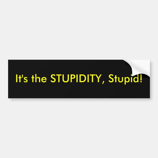 It's the stupidity... bumper sticker (Front)