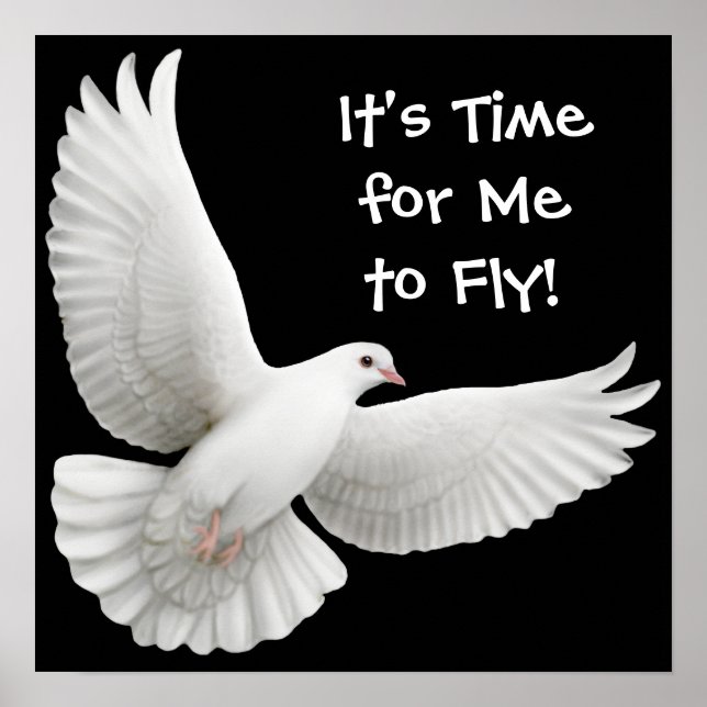 Its Time for Me to Fly Dove Poster (Front)