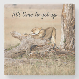 It's time to get up Lion photo with text Stone Coaster