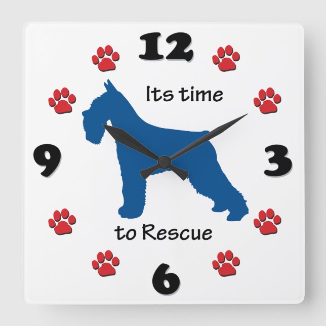 Its Time to rescue Schnauzers Square Wall Clock (Front)