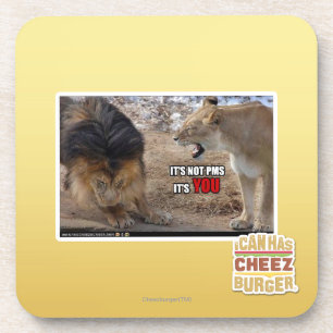 It's YOU! Coaster